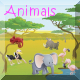 Animals videos and resources