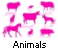 Youtube video animal
