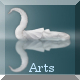 Study Arts videos